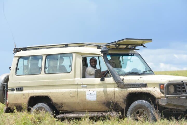 Tarangire Day Safari: Elephants, Baobabs & Big-Game Viewing from Arusha