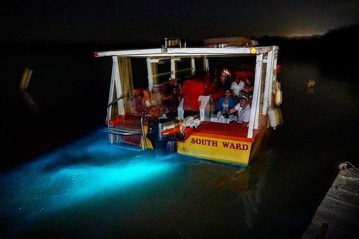 Montego Bay Luminous Lagoon Night Boat Tour — Swim with Bioluminescence photo 2