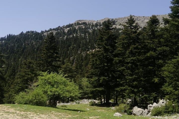 Full-Day Jbel Lakraa Summit Hike in Talassemtane National Park photo 4
