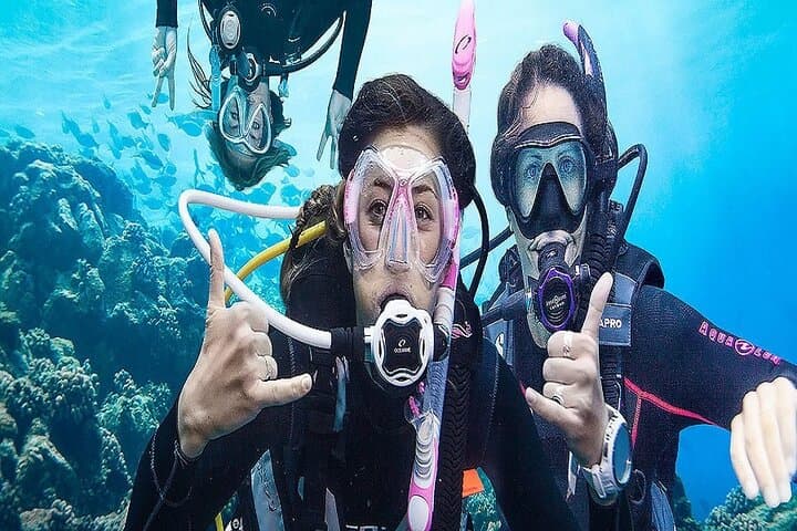 Marmaris & Icmeler 7-Hour Scuba Diving: Day Trip into the Mediterranean Blue photo 5