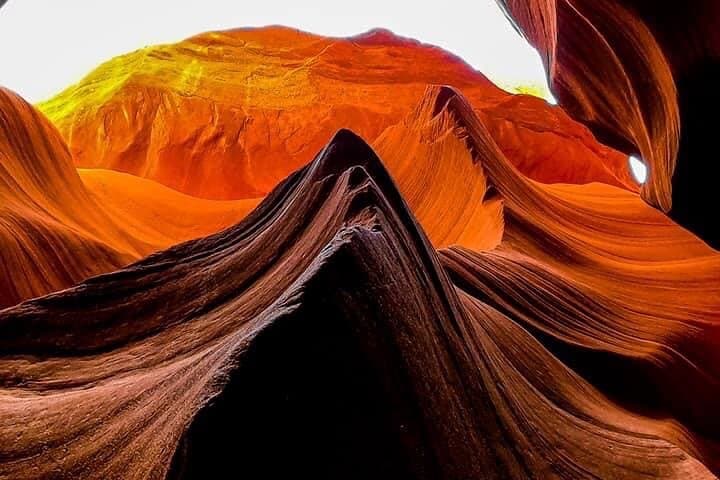 Antelope Canyon: A Half-Day Tour Through Upper Light Beams and Lower Ladders photo 4