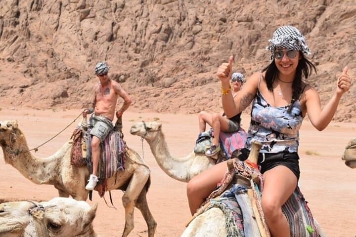 Full-Day Dahab Snorkeling & Camel Ride from Sharm El Sheikh — Private Tour with Lunch photo 4