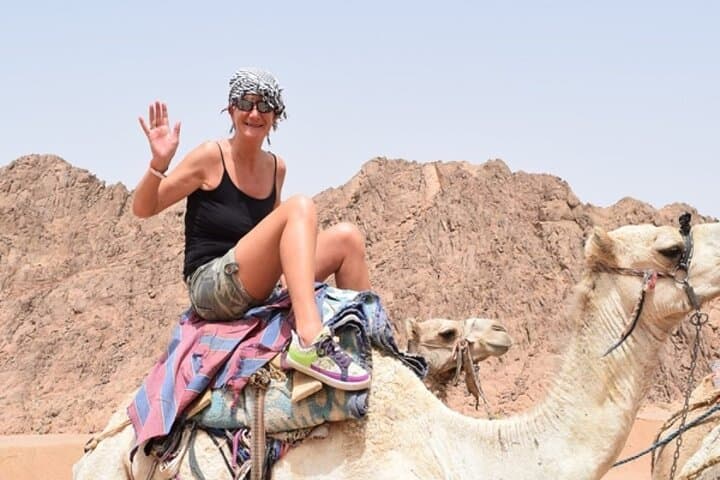 Full-Day Dahab Snorkeling & Camel Ride from Sharm El Sheikh — Private Tour with Lunch photo 5