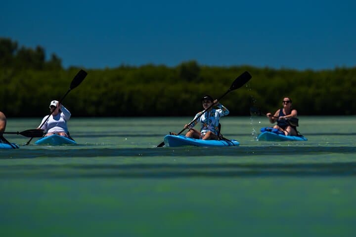 Shell Key Kayak Tour with Capt Yak — Mangrove Tunnels & Wildlife photo 4
