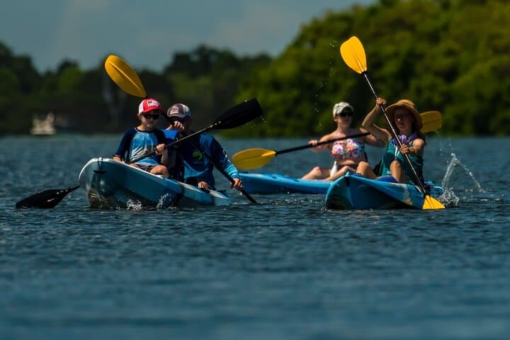 Shell Key Kayak Tour with Capt Yak — Mangrove Tunnels & Wildlife photo 6