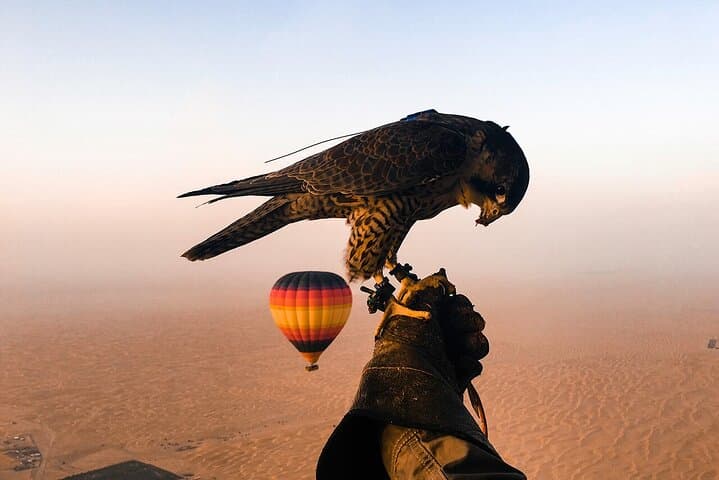 Sunrise Hot Air Balloon Over Dubai Desert with Falcon Show & Camel Experience photo 2