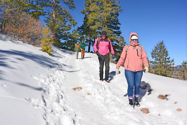 Guided Rocky Mountain Day Hikes from Denver — 2–4 Hour Group Hike photo 2