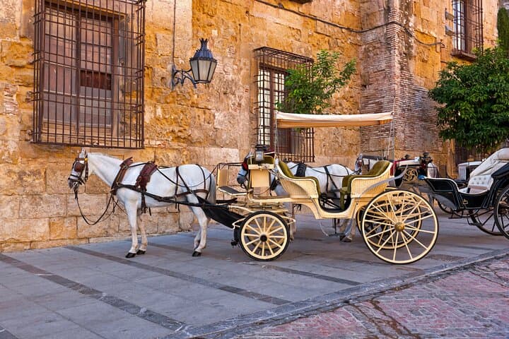 Andalusian Highlights: 6-Day Guided Cultural Tour from Madrid photo 6