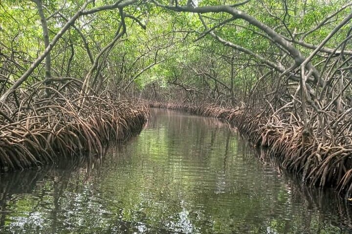Catamaran Day Tour to Isla Grande & Tunnel of Love — Panama Caribbean Escape photo 6