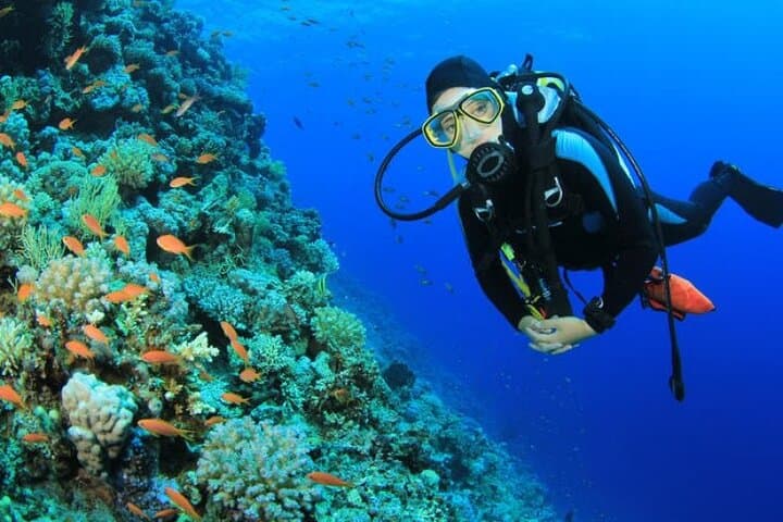 Hurghada Red Sea Snorkeling: Full-Day Trip from Luxor photo 2