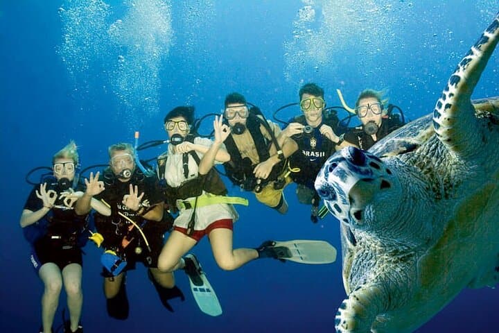 Hurghada Red Sea Snorkeling: Full-Day Trip from Luxor photo 3