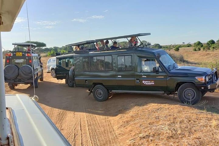 3-Day Tsavo East & West Safari from Diani Beach — Big Five Game Drives & Mzima Springs photo 2