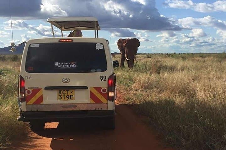 3-Day Tsavo East & West Safari from Diani Beach — Big Five Game Drives & Mzima Springs photo 3