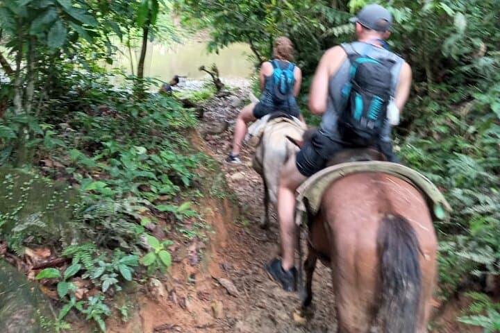 Salto La Jalda Hike — Full-Day Miches Waterfall Trek & Swim photo 2