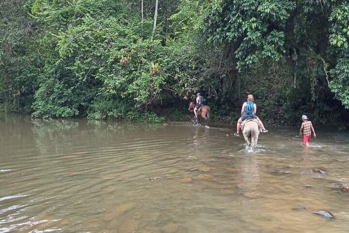 Salto La Jalda Hike — Full-Day Miches Waterfall Trek & Swim photo 3