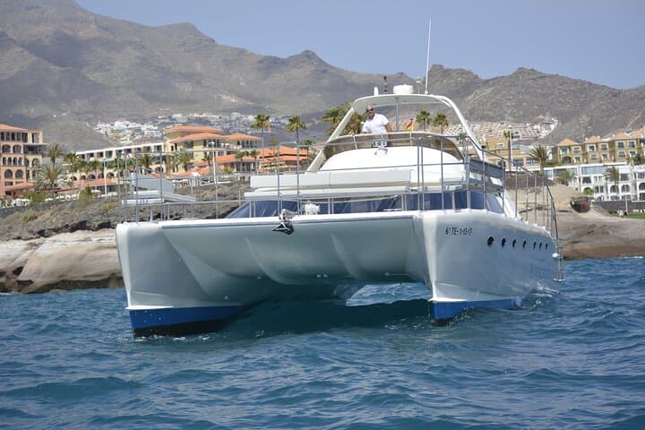 Tenerife Sunset Catamaran: Sunset Sailing with Dolphins, Wine and Tapas photo 6