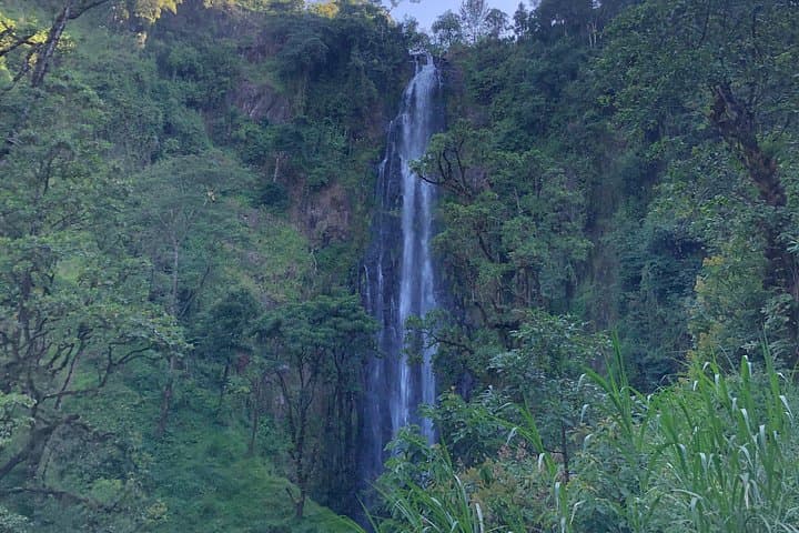 Materuni Waterfalls & Coffee Tour — Kilimanjaro Village Walk & Coffee-Making Experience photo 2