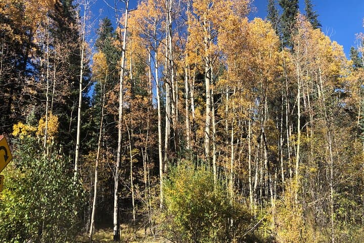 Red Rocks, Saint Mary's Glacier & Indian Hot Springs: Private Day Tour from Denver