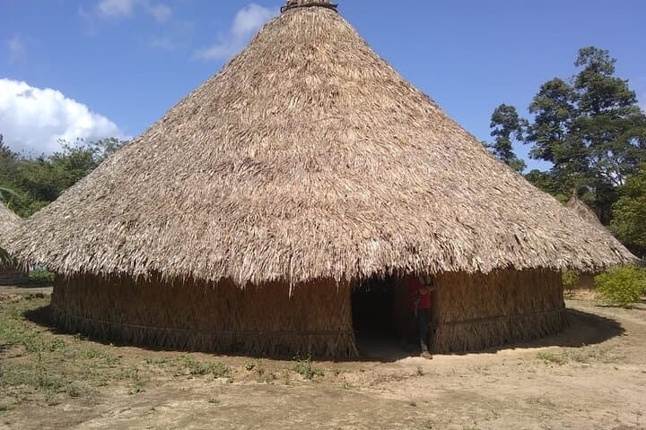 Ancestral Thought Tour: Kogui Culture & Rainforest Walk from Santa Marta