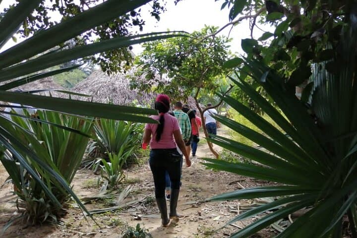 Ancestral Thought Tour: Kogui Culture & Rainforest Walk from Santa Marta photo 4