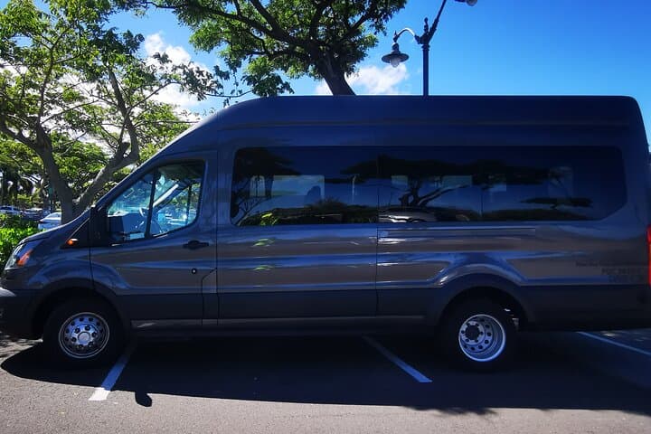 Private Kona Airport Transfer to Waikoloa & Waimea — Minivan & Passenger Van Service photo 4