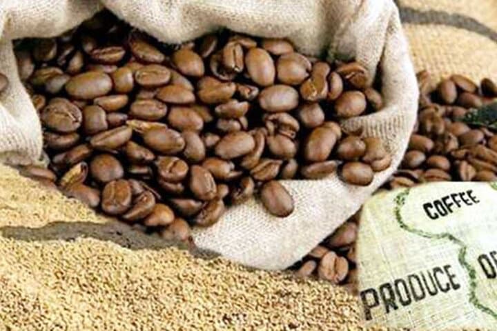 Half-Day Fairview Estate Coffee Farm Tour from Nairobi photo 6