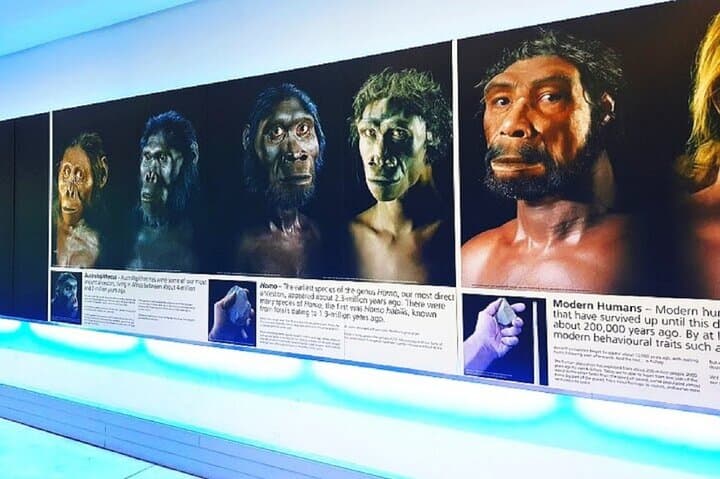 Explore the Cradle of Humankind: Maropeng & Sterkfontein Caves Tour photo 2