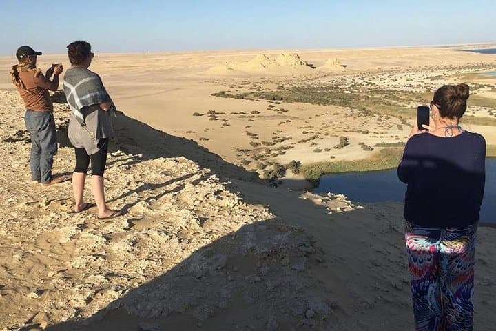 Fayoum Full-Day Bird Watching in Wadi El Rayan — Lake Qarun & Oasis Wildlife photo 1
