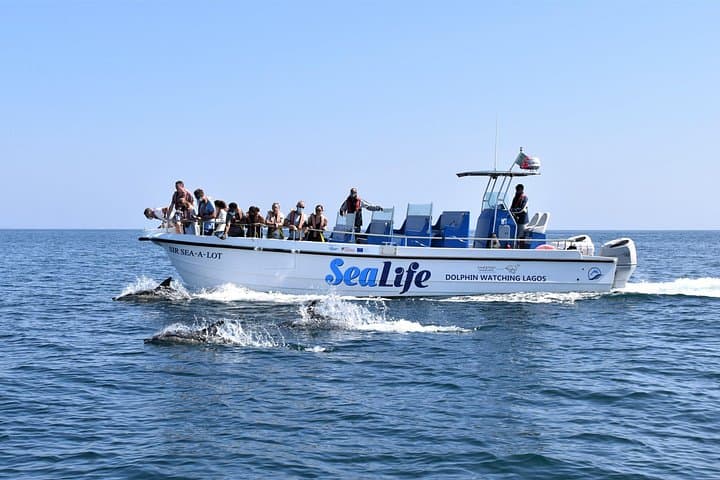 Dolphin Watching from Lagos Marina: Sealife Sea Safari with Marine Biologists photo 1