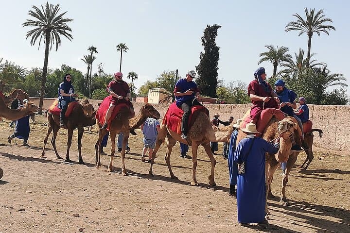 Ourika Valley Day Trip from Marrakech: Waterfalls, Berber Culture & Argan Cooperatives photo 3