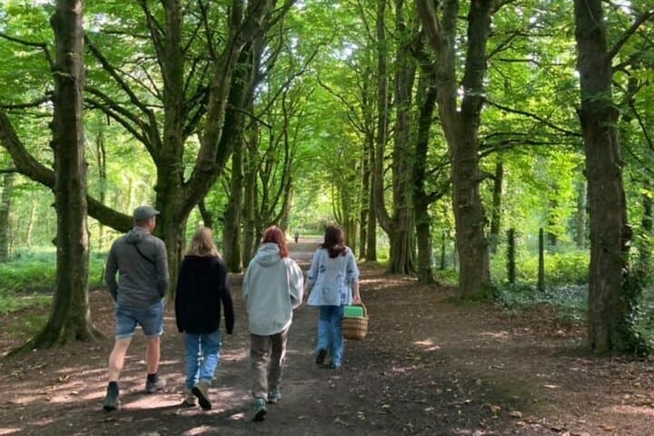 Courtown Woodland Guided Walk: Pagan Lore, Foraging & Ancient Trees in Wexford photo 3