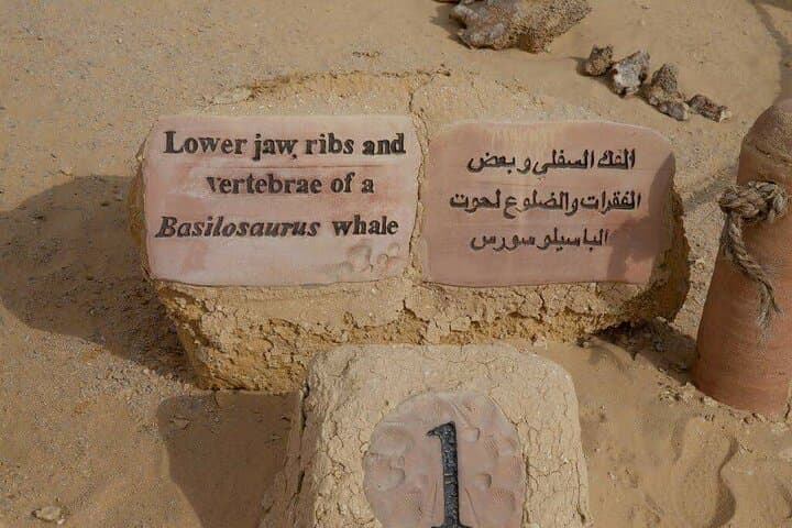 Day Trip to El Fayoum from Cairo: Wadi El Rayan, Wadi Hitan & Medinet Madi