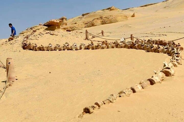 Day Trip to El Fayoum from Cairo: Wadi El Rayan, Wadi Hitan & Medinet Madi photo 5