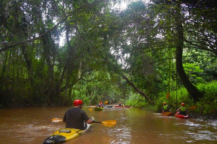 Kayak Chiang Dao Valley: Jungle Rivers & Flooded-Forest Paddling Near Chiang Mai photo 4