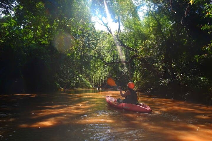 Kayak Chiang Dao Valley: Jungle Rivers & Flooded-Forest Paddling Near Chiang Mai photo 6