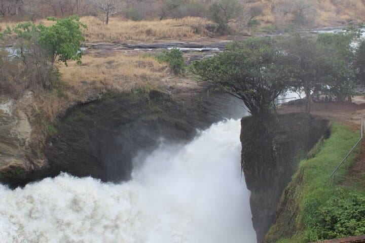 3-Day Murchison Falls Safari: Nile, Wildlife & Shoebills