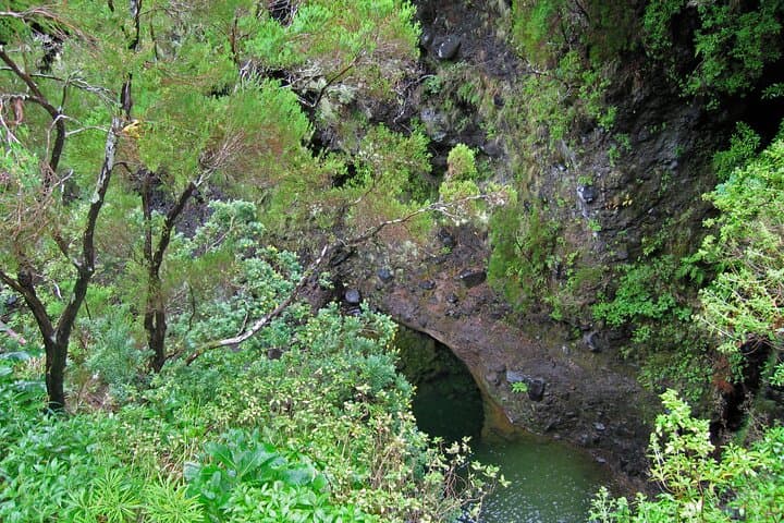 Rabacal Levada Walk: 25 Fontes & Risco Waterfall Hike, Madeira photo 2