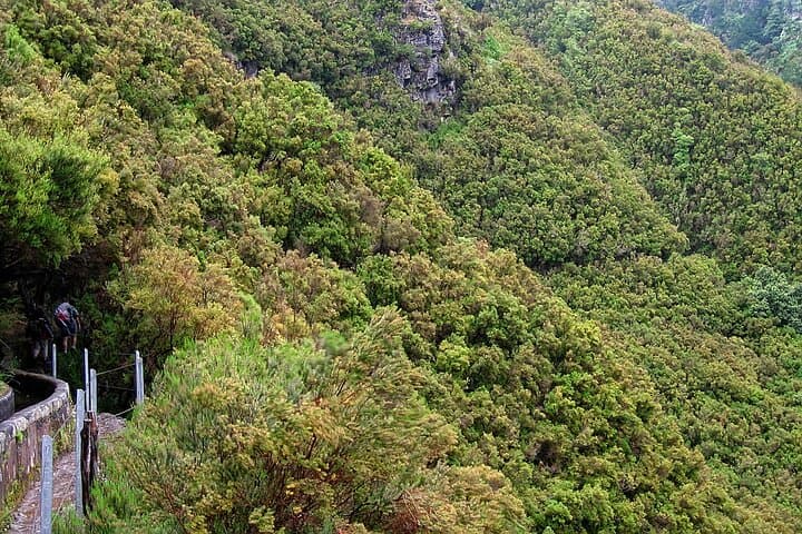 Rabacal Levada Walk: 25 Fontes & Risco Waterfall Hike, Madeira photo 4