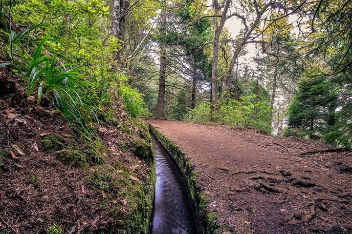 Caldeirão Verde Levada Walk: Madeira’s Forested Waterfall Hike photo 2