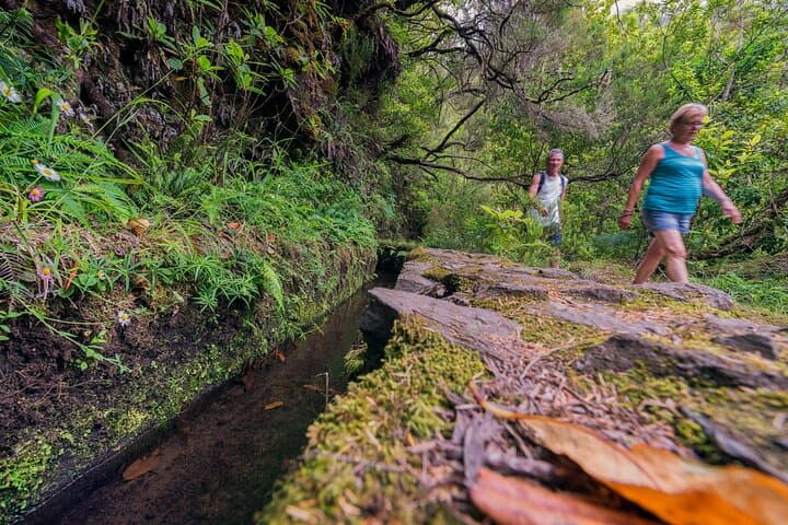 Caldeirão Verde Levada Walk: Madeira’s Forested Waterfall Hike photo 6