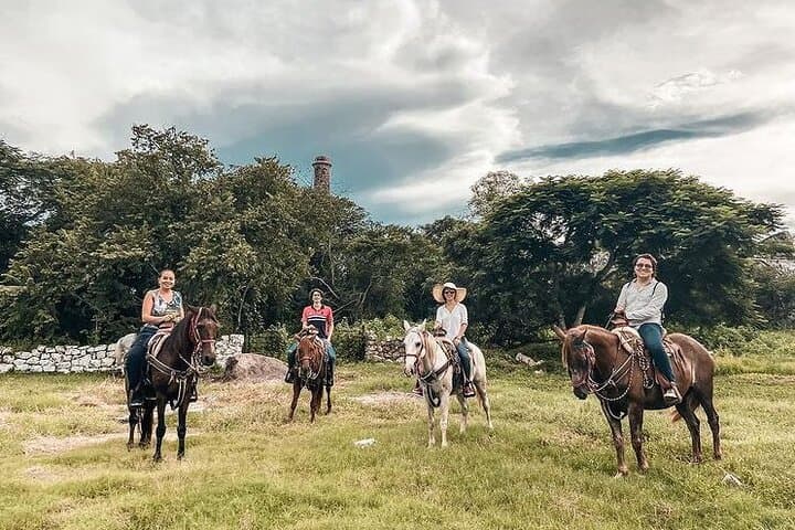 Horseback Riding at Santa Beatriz Hacienda and Progreso Beach Club Day Trip from Mérida photo 2