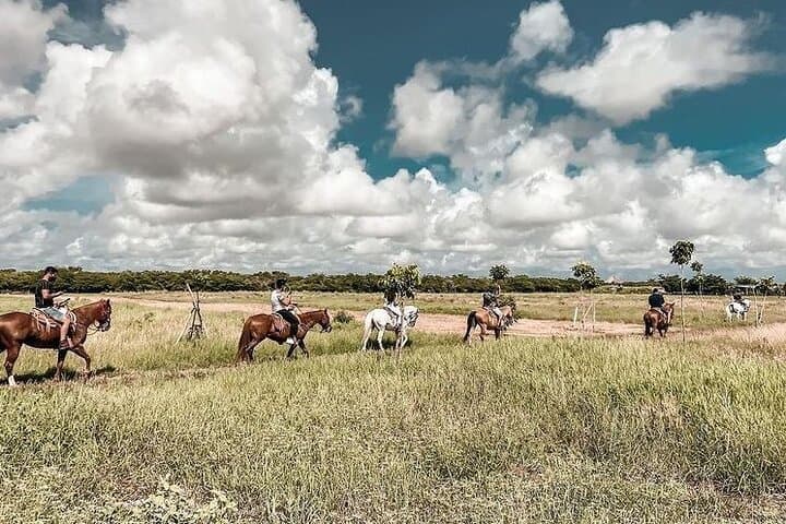 Horseback Riding at Santa Beatriz Hacienda and Progreso Beach Club Day Trip from Mérida photo 3