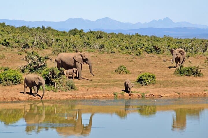 3-Day Samburu Safari: Northern Kenya Game Drives & Wildlife Encounters photo 2