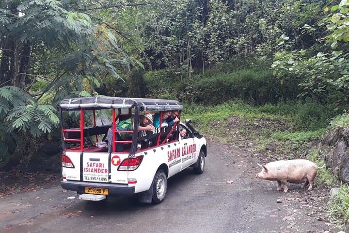 Crossing Tahiti's Interior: 4x4 Waterfalls, Rivers & Natural Basins photo 5