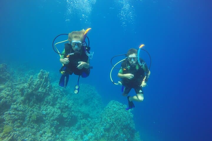 PADI 3-Day Open Water Course in Sharm El Sheikh — Learn to Dive the Red Sea photo 2