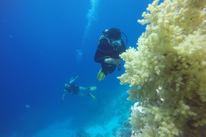 PADI 3-Day Open Water Course in Sharm El Sheikh — Learn to Dive the Red Sea photo 5