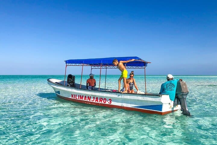 Half-Day Snorkeling at Mnemba Coral Gardens: Swim with Turtles & Reef Fish photo 2