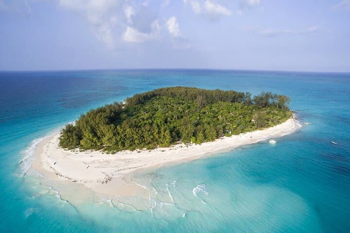 Half-Day Snorkeling at Mnemba Coral Gardens: Swim with Turtles & Reef Fish photo 3