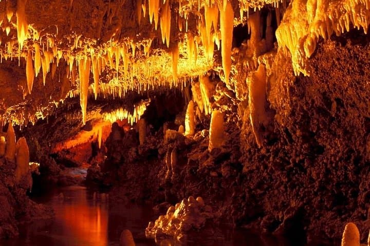 Full-Day Barbados Natural Heritage Tour: Caves, Windmills & Wildlife photo 3