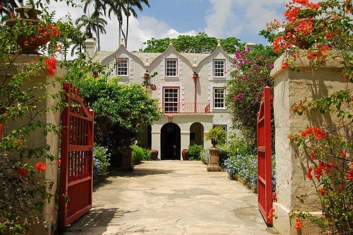 Full-Day Barbados Natural Heritage Tour: Caves, Windmills & Wildlife photo 4